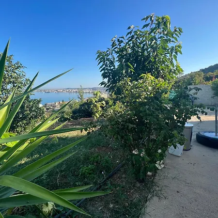 Markev Vlorë