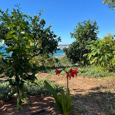 Markev Vlorë