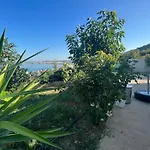 Markev Wlora