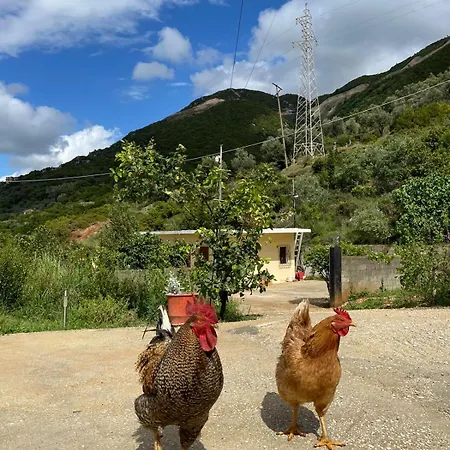 Apartamento Markev Vlorë