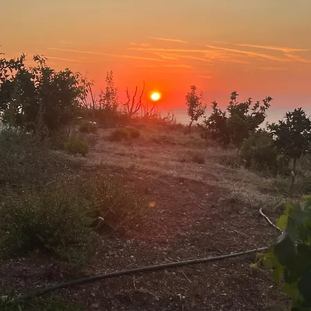 Markev Apartament Wlora