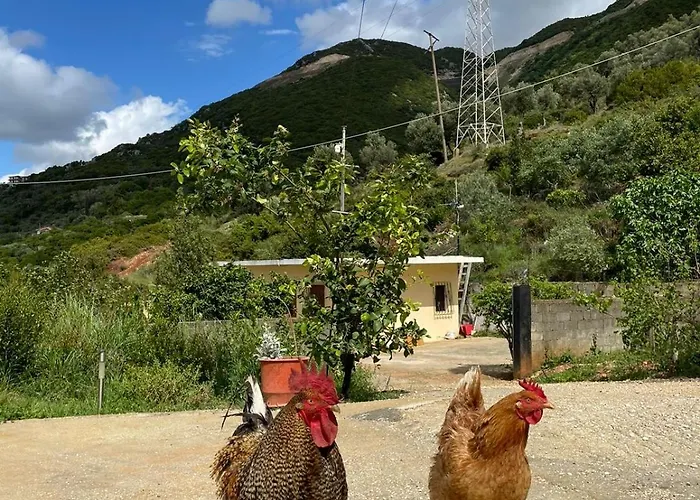 Appartement Markev Vlorë